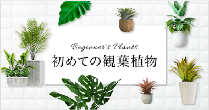 スタンド花 ￥12,500～