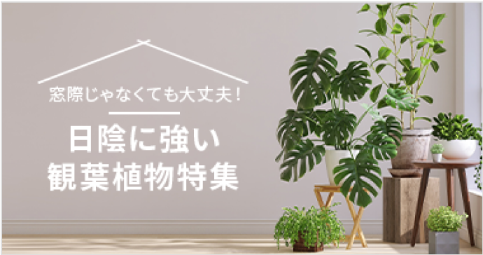 スタンド花 ￥25,000～